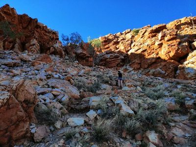 Alice Springs: West MacDonnell Mystique Audio Tour - photo 3