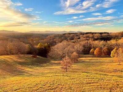 Asheville's Enchanting Walk: A Romantic Journey - photo 4