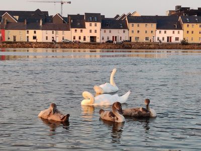 Gaillih by Bike: Self-Guided Audio Tour - photo 4