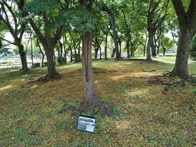 Taipei Wonders: A Cultural & Architectural Walking Tour - photo 4