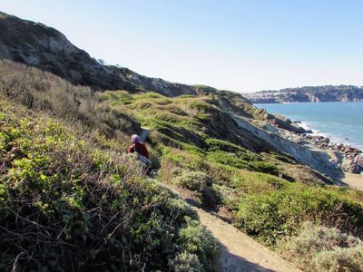 San Francisco: Haight-Ashbury District Audio Tour - photo 4