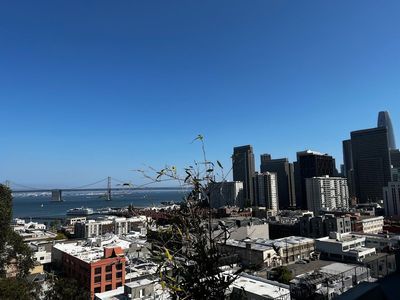 Unearth Architectural Gems: San Francisco Self-Guided Audio Tour - photo 3