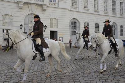 Discover Vienna's Treasures: In-App Audio Tour - photo 4
