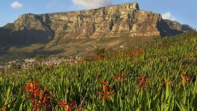 Cape Town: Table Mountain Mysteries Audio Tour - photo 3