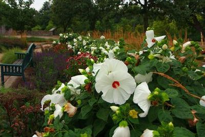 Minneapolis: Minnehaha Falls Audio Tour - photo 3