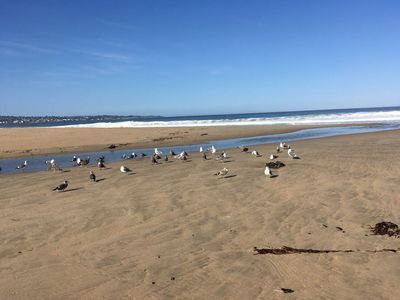 Monterey: Seaside Charm Audio Tour - photo 4