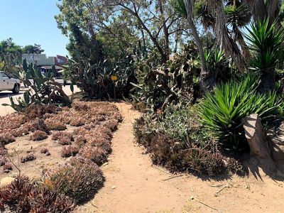 San Diego: Ghostly Secrets Audio Tour - photo 3