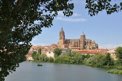 Salamanca Walking Tour: From Ancient Schools to Royal Palaces - photo 4