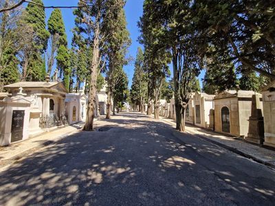 Lisbon: Prazeres Cemetery Audio Tour - photo 3