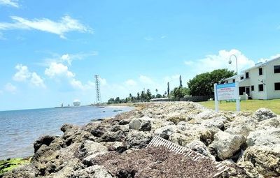 Discover Key West’s Charms: An In-App Audio Tour Adventure - photo 4