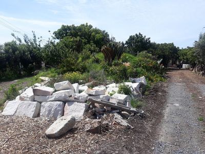 Cape Town: Walmer Estate & Woodstock Suburbs Audio Tour - photo 3