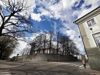 Tallinn: Enchanted Medieval Odyssey Audio Tour - photo 4