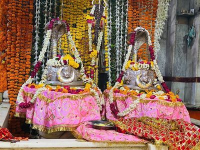 Jodhpur: Timeless Heritage Audio Tour - photo 4