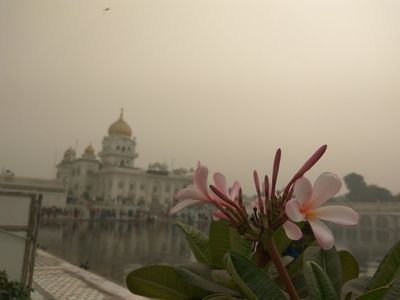 Delhi: India Gate to Khan Market Audio Tour - photo 4