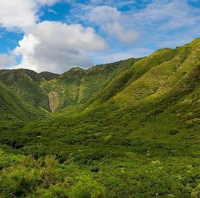 Honolulu: Echoes of History Audio Tour - photo 4