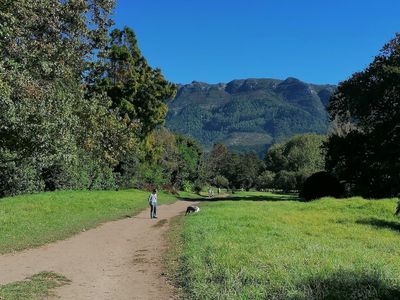 Cape Town: Enchanted Gardens Audio Tour - photo 4
