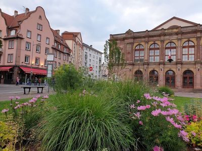 Colmar: Secrets & Stories Audio Tour - photo 3