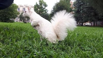 Toronto: West Queen West Cultural Audio Tour - photo 3