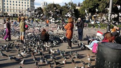 Discover Gaudí's Marvels: An In-App Audio Tour of Barcelona - photo 3