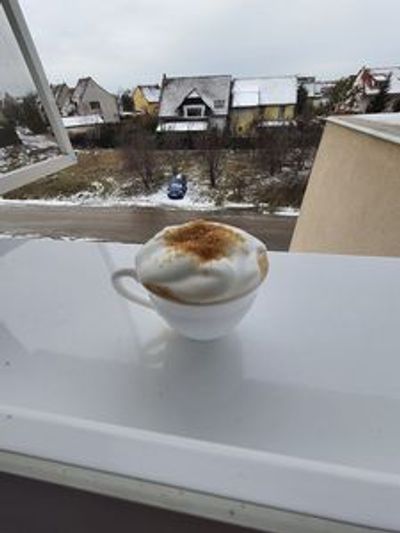 Timisoara: Echoes of Jewish Heritage Audio Tour - photo 4