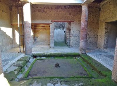 Discover Pompeii's Secrets: In-App Audio Tour - photo 4