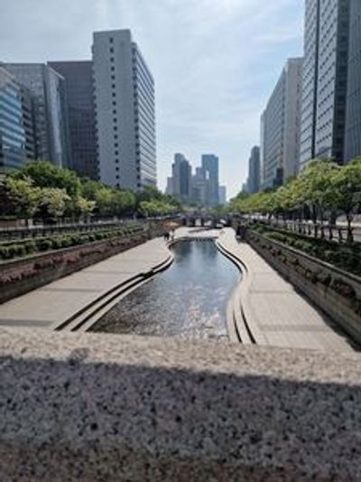 Seoul: From Deoksugung Palace to Gwanghwamun Square - photo 4