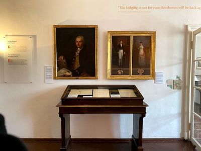 Vienna: Beethoven's Melodic Heritage Audio Tour - photo 4