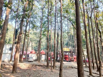 Haldwani: Echoes of the Past Audio Tour - photo 3