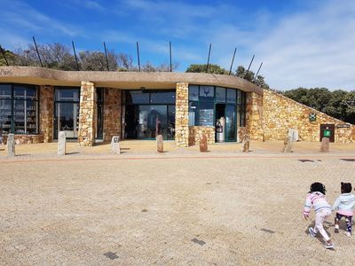 Cape Town: Cape Point's Mysteries Audio Tour - photo 3