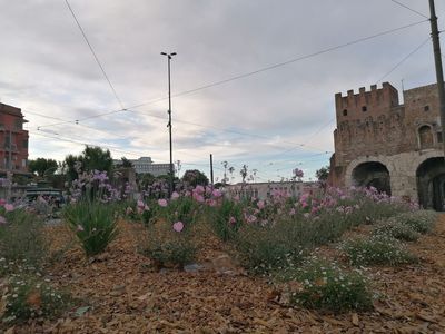 Rome: Testaccio's Culinary Heritage Audio Tour - photo 3