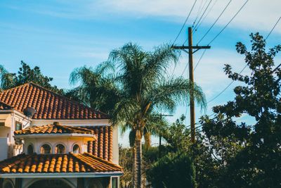 Los Angeles: Angelino Flavors & Star-Studded Audio Tour - photo 2