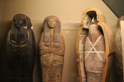 Chicago: Field Museum of Natural History Audio Tour - photo 2