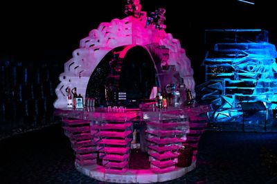 Berlin Icebar: Entrance Ticket - photo 2