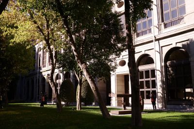 Madrid: Reina Sofia Museum Entry Ticket - photo 2