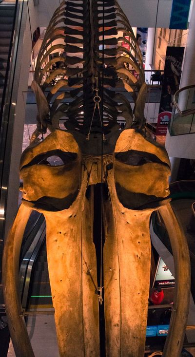 Denver: Nature & Science Audio Exploration - photo 2