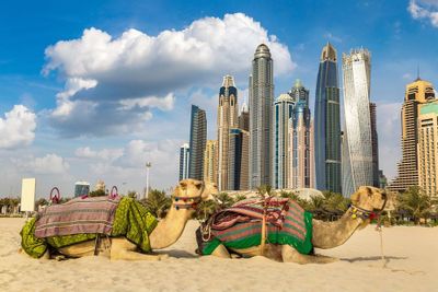 Dubai: Burj Khalifa Ticket with an Audio Tour and a Full-Day City Walk