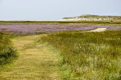 Den Burg: Texel Dunes Discovery Audio Tour - photo 2