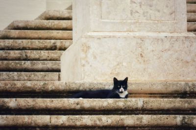 Zabbar: Echoes of History Audio Tour - photo 2