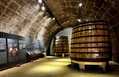 Porto: Self-Guided Audio Walk Through History and Port Wine - photo 2