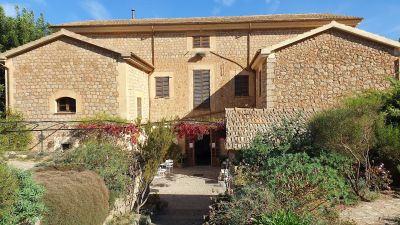 Sóller: Self-Guided Audio Walk Through Mallorca’s Native Flora - photo 2