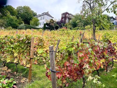Paris: Self-Guided Audio Walk Through Montmartre’s Bohemian Heart