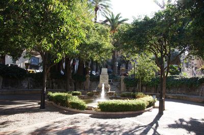 Palma : visite audio autoguidée du cœur gothique et civique - photo 2