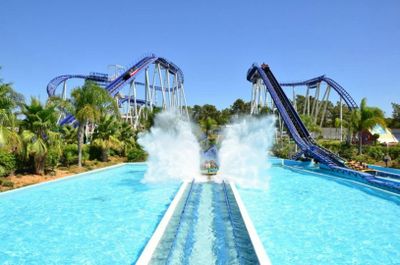 Aquashow Park: Входной билет - photo 2