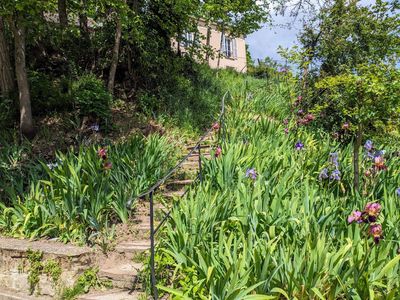 Auvers-sur-Oise: Self-Guided Audio Walk Through Van Gogh's Village