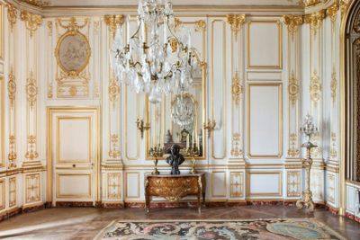 Château de Chambord: Entry Ticket - photo 2