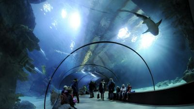 Rotterdam Zoo: Skip The Line Ticket - photo 2