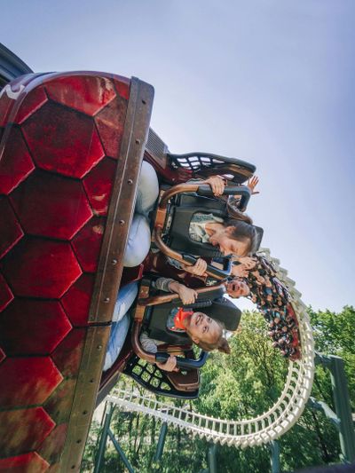 Efteling: Entry Ticket