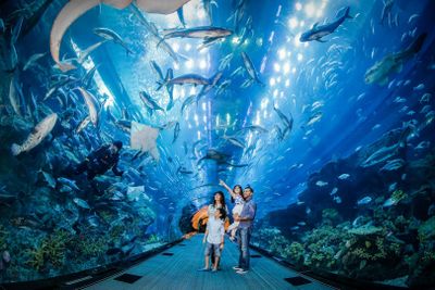 Dubai Aquarium & Burj Khalifa: Level 124/125 Ticket - photo 2