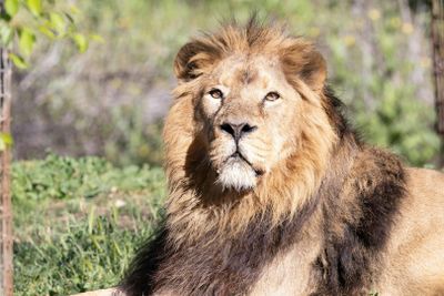 Zoo Aquarium Madrid: Entry Ticket