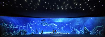 Poema del Mar - Aquarium Gran Canaria: Skip The Line Ticket - photo 2